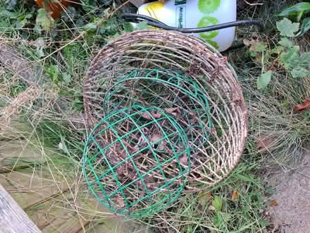Photo of free Gardening bits (Lye Valley OX4) #4