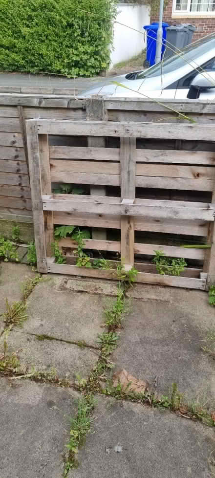 Photo of free Wood pallets (Burnage M19) #2