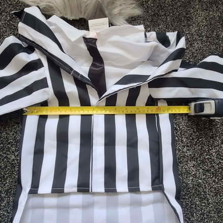 Photo of free Dog fancy dress (Ribbleton PR1) #2