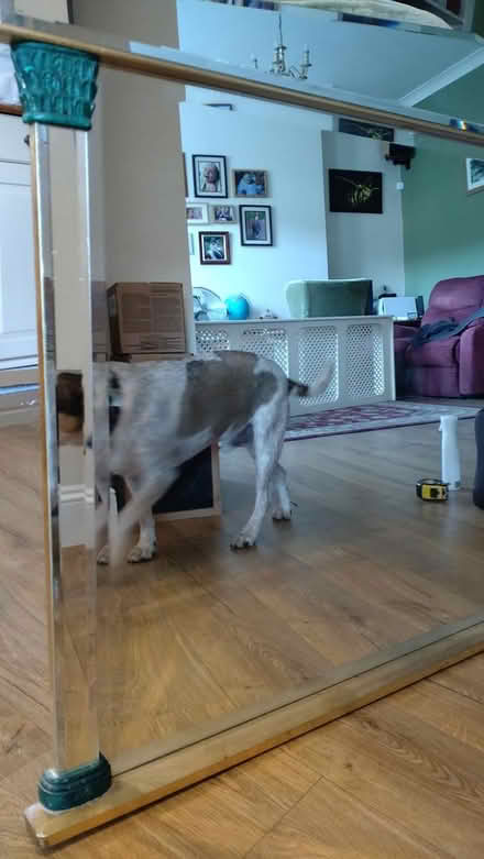 Photo of free Large ornate mantle piece mirror (paignton, near big tree) #3