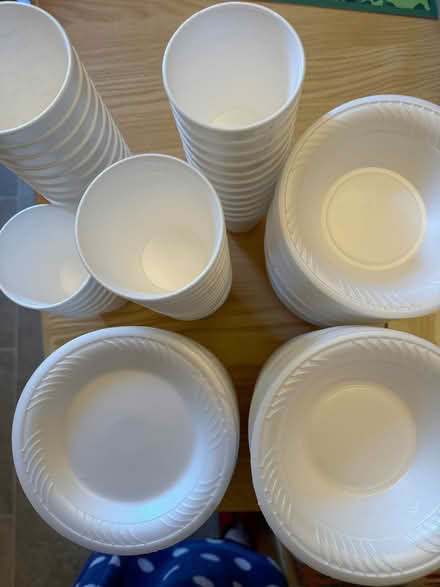 Photo of free Disposable plates, bowls, cups (University Area RG1) #1
