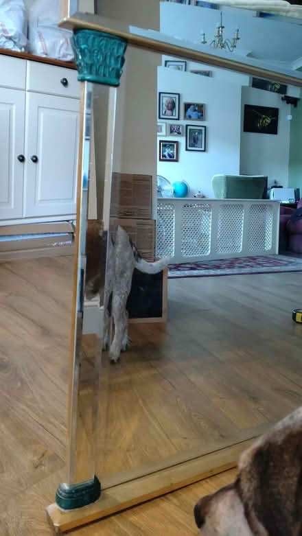 Photo of free Large ornate mantle piece mirror (paignton, near big tree) #2