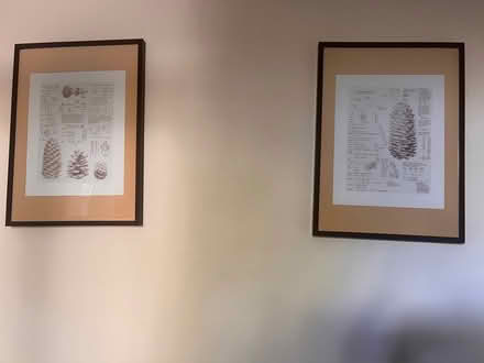 Photo of free Pictures (Rugby CV21) #2