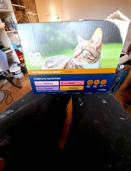 Photo of free Box of co-op cat food pouches in gravy. (NW6) #1