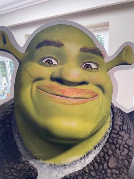 Photo of free Flat pack life size Shrek (Southfields SW19) #2