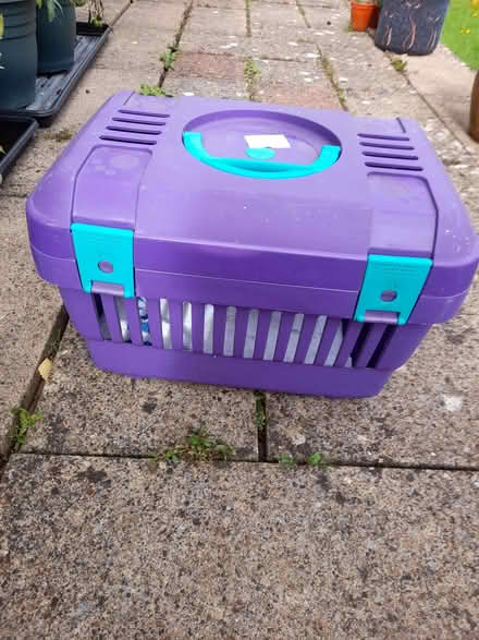 Photo of free Cat carrier (Northcourt OX14) #1