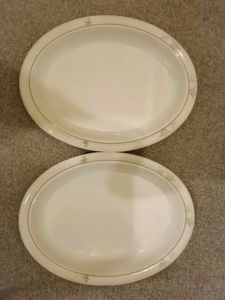 Photo of free 2 Plastic Serving Trays (Brentford TW7) #1