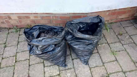 Photo of free Decorative stones (Tonbridge) #2