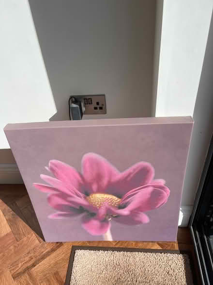 Photo of free Canvas picture (Wollaton NG8) #1