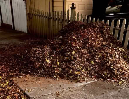 Photo of free Wood Chips/Mulch (Oakland) #1