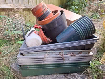 Photo of free Gardening bits (Lye Valley OX4) #3