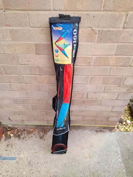 Photo of free Kite (Northcourt OX14) #1