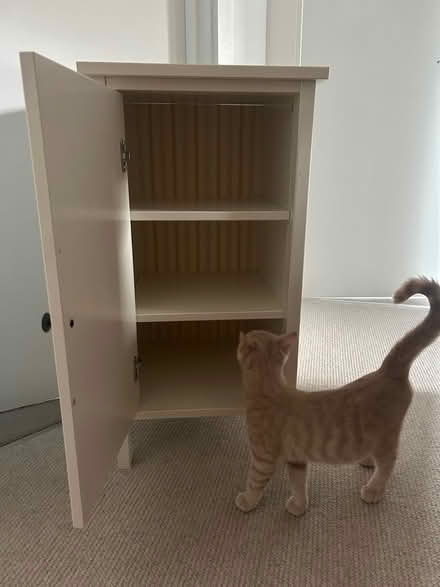 Photo of free Small cupboard/bedside cabinet (North Bersted, PO21 5**) #2
