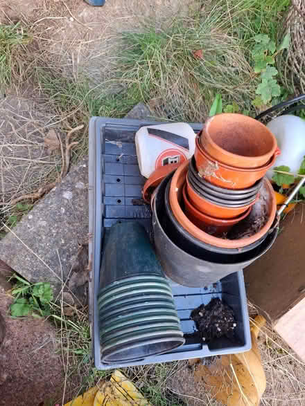 Photo of free Gardening bits (Lye Valley OX4) #2