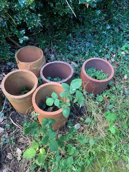 Photo of free Terracotta Chimney Pots (Iver Heath Fields SL0) #1