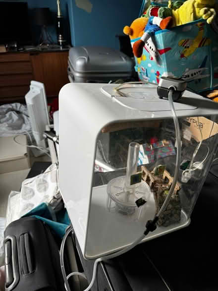 Photo of free Fish tank (York, Clifton Green) #1