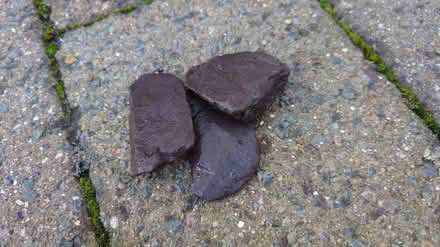 Photo of free Decorative stones (Tonbridge) #1