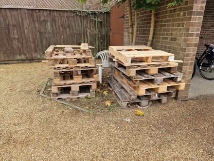Photo of free wooden pallets (IP4) #1