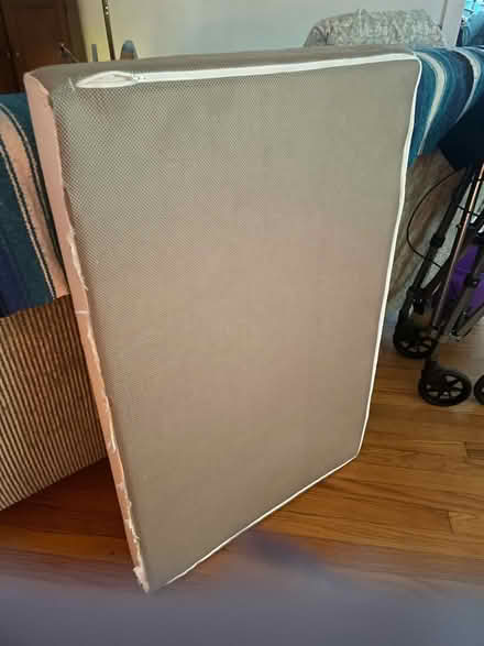 Photo of free Dog bed cushion (Glen Ellyn) #2