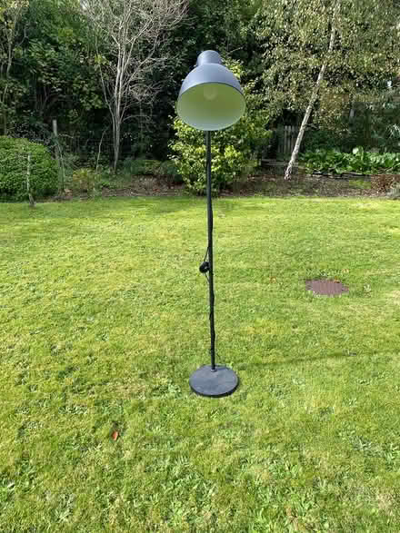 Photo of free standard lamp (BH20 4PN) #1