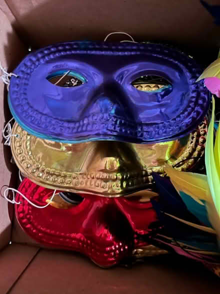 Photo of free Box of Masquerade Masks (Jackson, NJ) #2