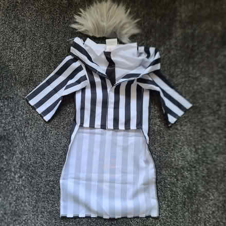 Photo of free Dog fancy dress (Ribbleton PR1) #1