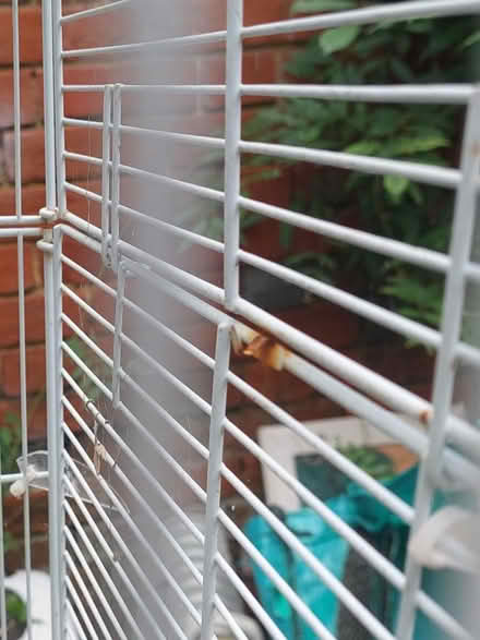 Photo of free Bird cage (Mortimer RG7) #1