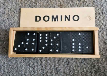 Photo of free Domino (Grove Park SE9) #1