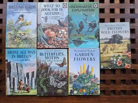 Photo of free Ladybird books (Chelmsford, CM1) #1