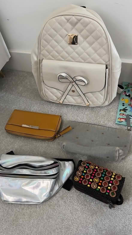 Photo of free Bundle of purses and bag (TN27, Headcorn) #2