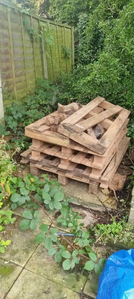 Photo of free Wood pallets (Burnage M19) #1
