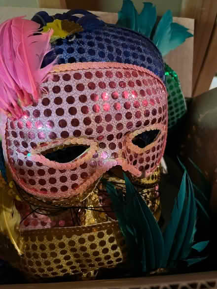 Photo of free Box of Masquerade Masks (Jackson, NJ) #1