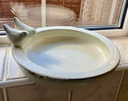 Photo of free Bird bath (Church Crookham GU52) #1