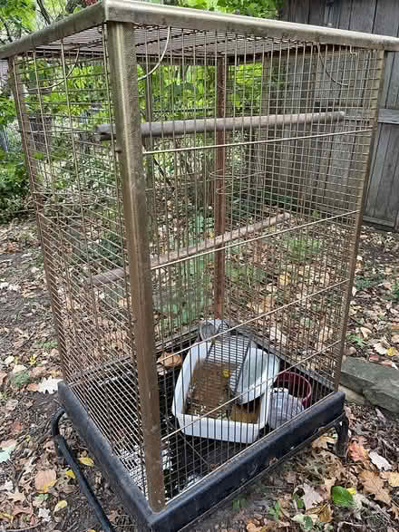 Photo of free Big metal bird cage (Oak Brook) #1