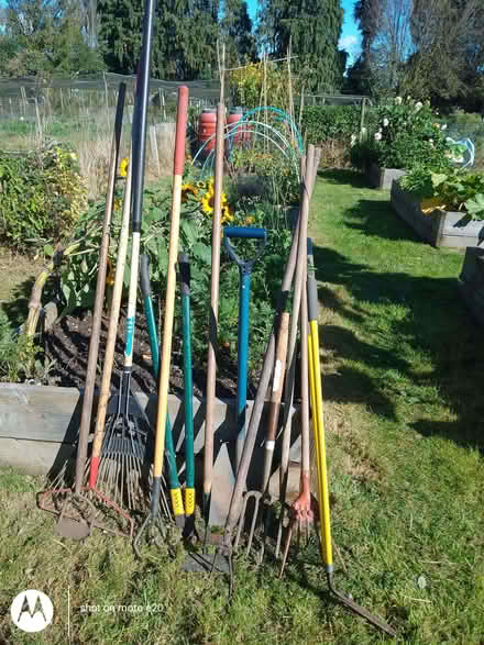 Photo of free Quantity of garden tools (Beccles NR34) #1
