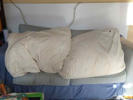 Photo of free Huge feather cushions (Harringay Green Lanes N4) #1