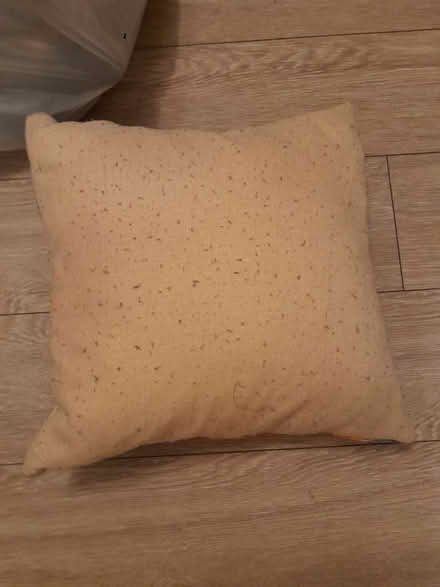 Photo of free Frida kahlo cushion (Sandylands morecambe LA3) #2