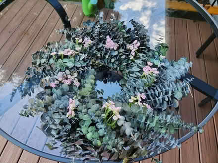 Photo of free Eucalyptus Wreath (Lake City Way) #1