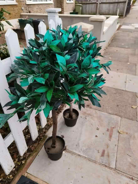 Photo of free Artificial Bay tree's (Widmore BR1) #1