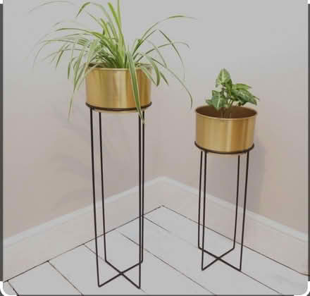 Photo of plant stand (Edenbridge TN8) #2