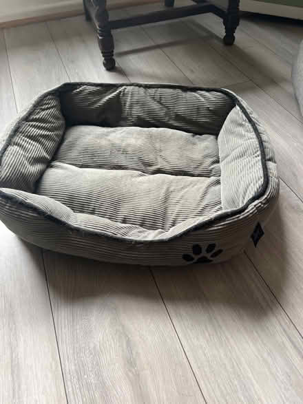 Photo of free Cat or small dog Bed (BA2, Bath.) #1