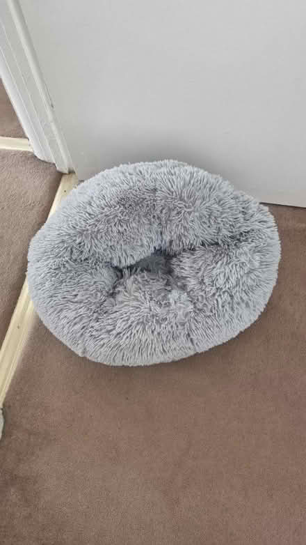 Photo of free Cat cushion (Sw183jr) #1