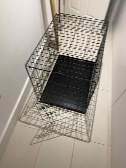 Photo of free Dog/animal transport cage (Ravenscourt Park W6) #2