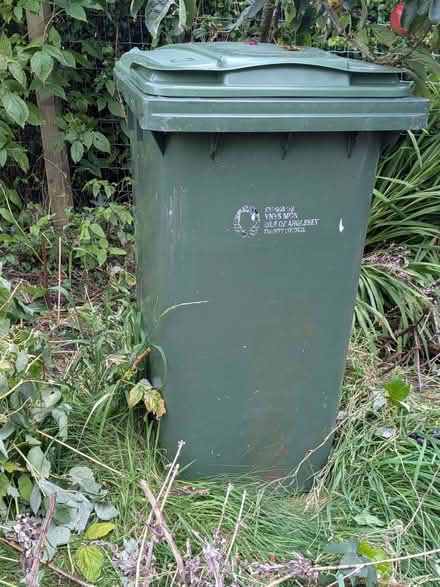 Photo of free Large green Council bin (Bethesda LL57) #1