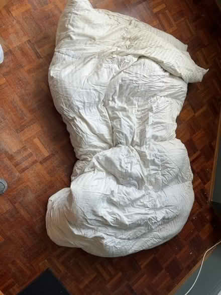 Photo of free King size down duvet (Wanstead E11) #1