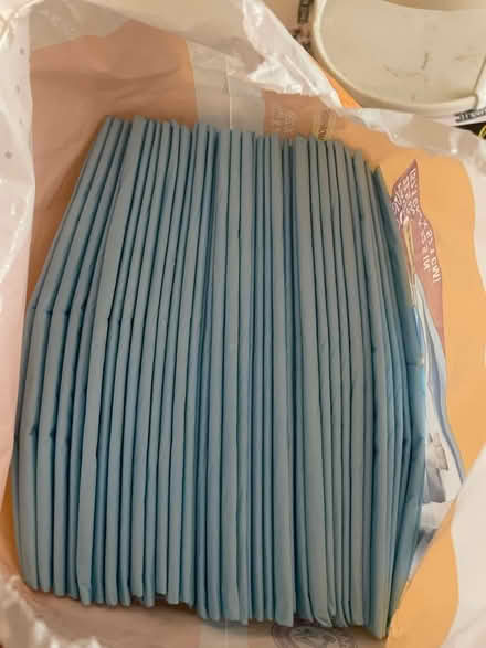 Photo of free Puppy pads (Douglas Park) #2