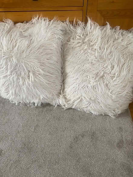 Photo of free Cushions (Havant PO9) #1