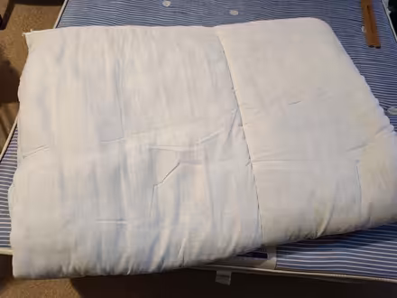 Photo of free Double duvet (Cambuslang G72) #1