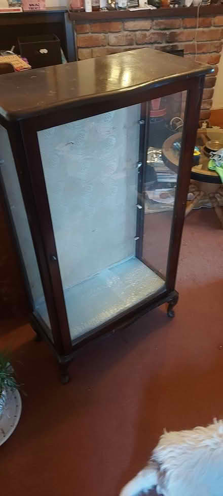 Photo of free Glass display cabinet (Torquay TQ2) #1