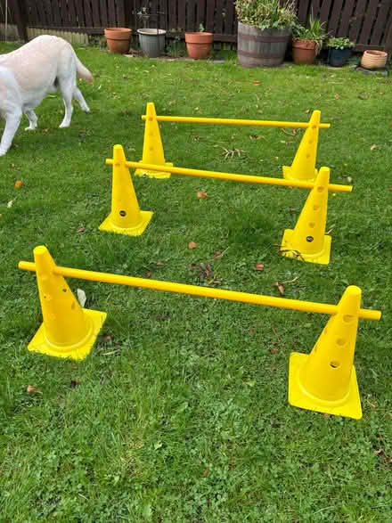 Photo of free Dog Agility jump/hurdle (Glasgow Parkhead G31) #1